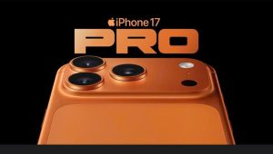 z7108919011918 8a5c589c8117122d71ffa8ac7b46fa98 1